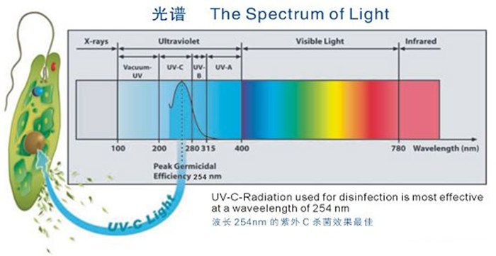 科普！紫外線殺菌燈對(duì)人體影響及正確使用方法